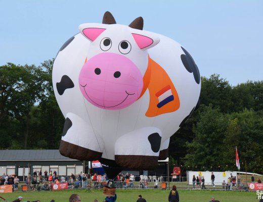 Modellballon Kuh