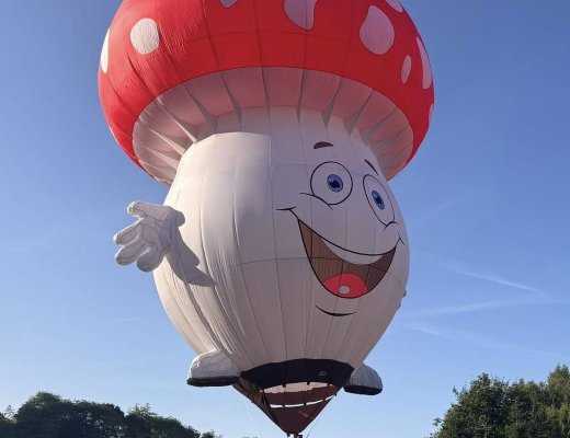 Modellballon Fliegenpilz