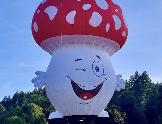 511668357_2106861439796527_2823637196401468735_n