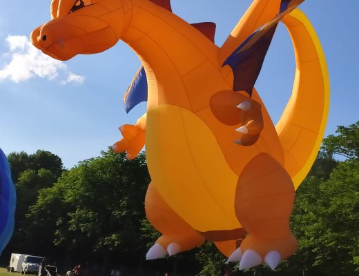 Modellballon Drache